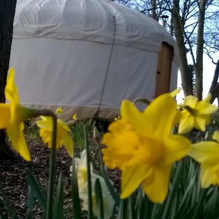 Gingerbread Cottage Yurts Dereham Exteriör bild