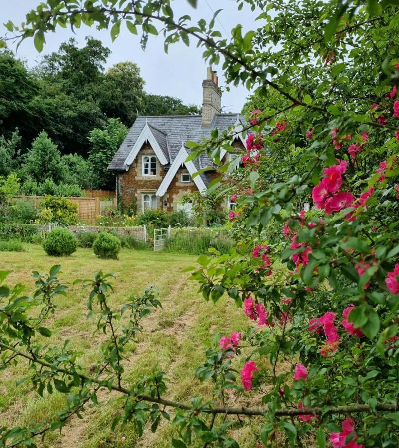 Gingerbread Cottage Yurts Dereham Exteriör bild