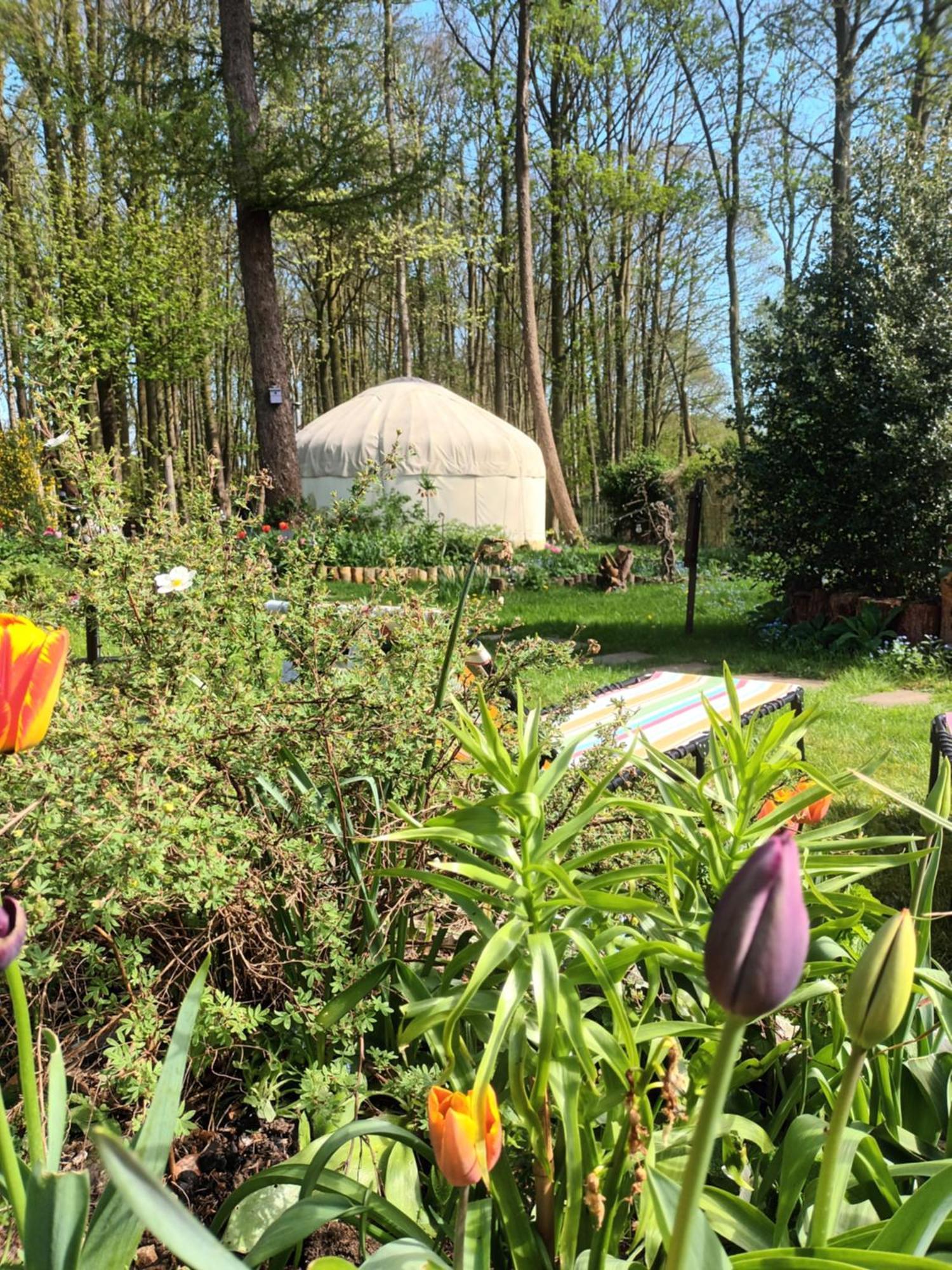 Gingerbread Cottage Yurts Dereham Exteriör bild