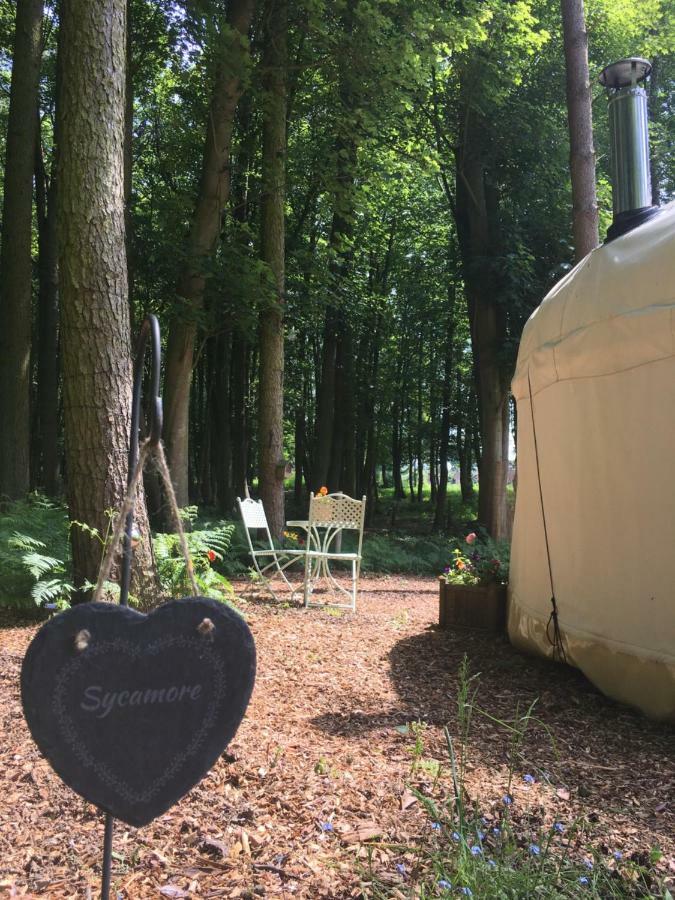 Gingerbread Cottage Yurts Dereham Exteriör bild