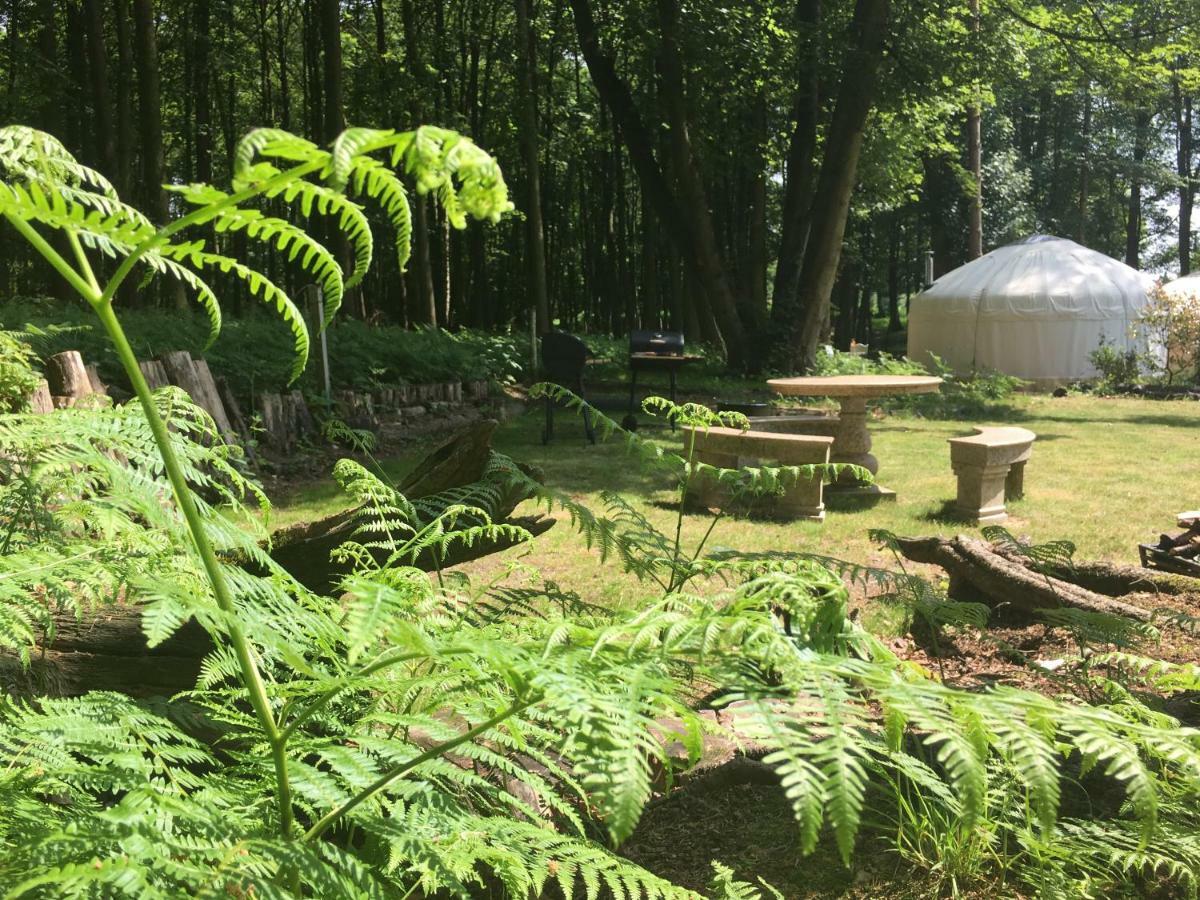 Gingerbread Cottage Yurts Dereham Exteriör bild
