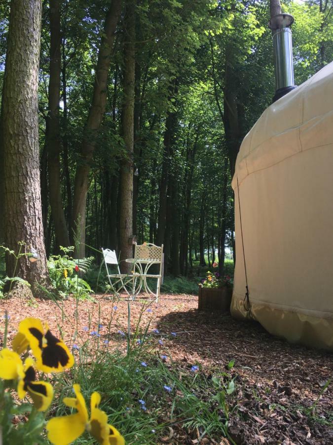 Gingerbread Cottage Yurts Dereham Exteriör bild
